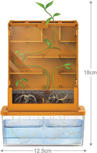 Load image into Gallery viewer, Grow A Maze Science Experiment Kit (Maize Planter)