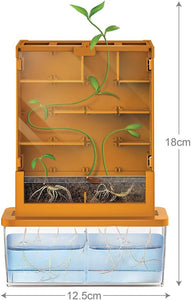 Grow A Maze Science Experiment Kit (Maize Planter)