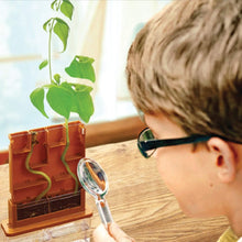 Load image into Gallery viewer, Grow A Maze Science Experiment Kit (Maize Planter)