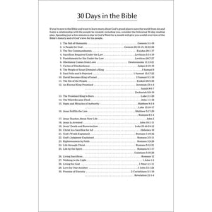 NIV Economy Bible (Holy Bible) (white & blue)