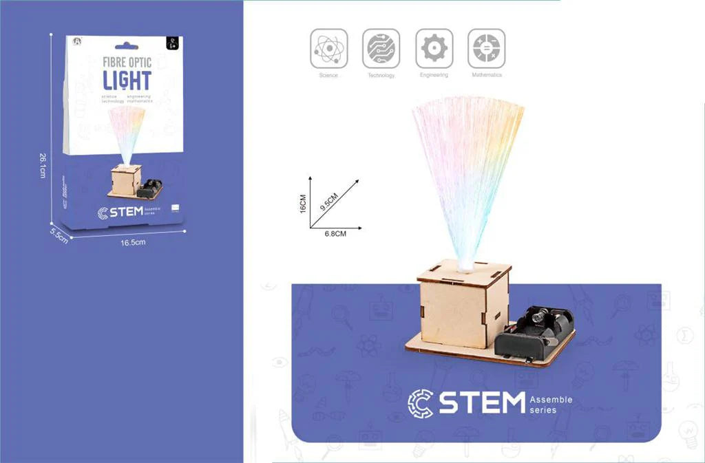 DIY Fibre Optic Light (STEM)