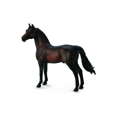 Morgan Stallion Bay XL (Horse)  ^