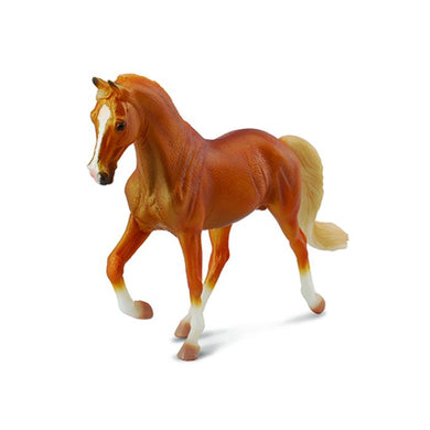 Tennessee Stallion Golden Palomino XL (Horse)