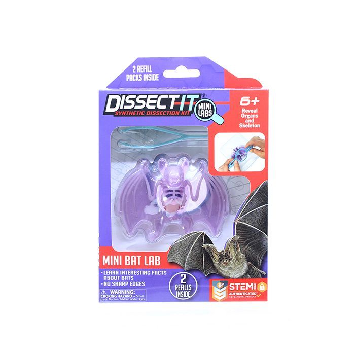 Dissect It - Mini Bat with Magnifying Glass