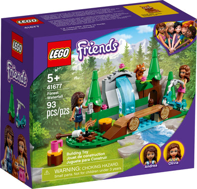 41677 Forest Waterfall Friends