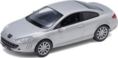 Peugeot 407 Coupe Silver (scale 1 : 24)